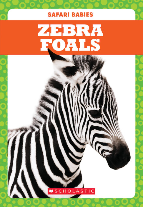 Tadpole - Safari Babies: Zebra Foals