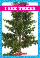Tadpole - Outdoor Explorer: I See Trees