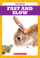 Tadpole - Opposites: Fast and Slow