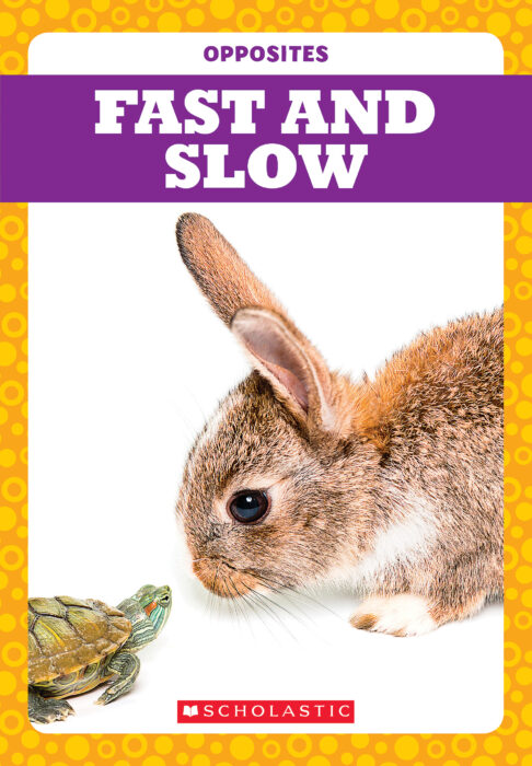 Tadpole - Opposites: Fast and Slow