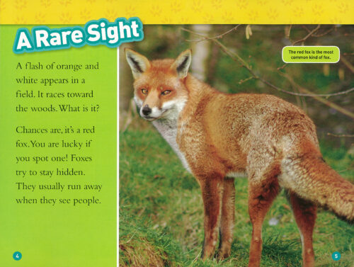 National Geographic Kids: Level 2: Foxes by Laura Marsh