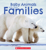 Baby Animals With Their Families