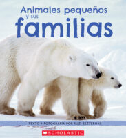 Animales pequeños y sus familias