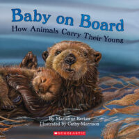 Baby On Board