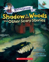 Shadow in the Woods and Other Scary Stories: An Acorn Book (Mister Shivers #2)