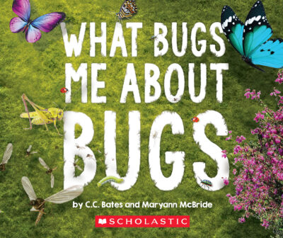 What Bugs Me About Bugs