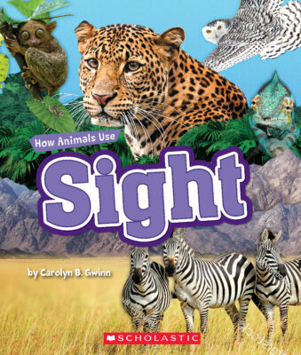 How Animals Use Sight