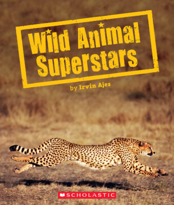 Wild Animal Superstars