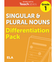 Singular & Plural Nouns Grade 1 Differentiati...
