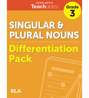 Singular & Plural Nouns Grade 3 Differentiati...