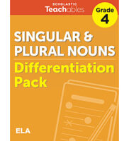 Singular & Plural Nouns Grade 4 Differentiati...