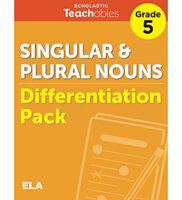 Singular & Plural Nouns Grade 5 Differentiati...
