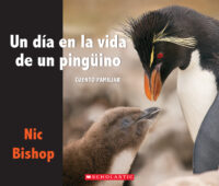 Un día en la vida de un pingüino