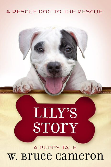 A Dog's Purpose-Puppy Tales: Lily's Story by W. Bruce Cameron