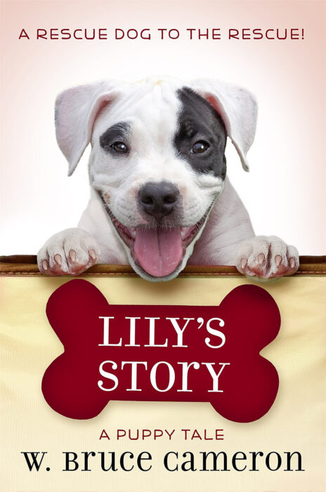 A Dog's Purpose-Puppy Tales: Lily's Story