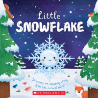 Nature Stories: Little Snowflake