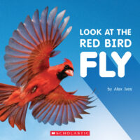 Scholastic A-D Level Books: Look at the Red Bird Fly