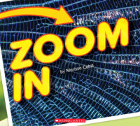 Scholastic A-D Level Books: Zoom In, Zoom Out