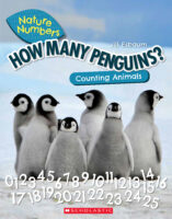 Nature Numbers: How Many Penguins?