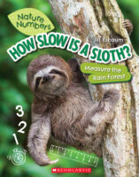 Nature Numbers: How Slow Is a Sloth?