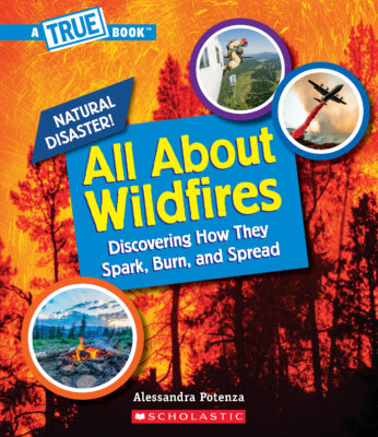A True Book - All About Wildfires