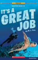 Phonics Chapter Book - Level 2: It's a Great Job!
