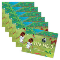 Guided Reading Set: Level H-The Field