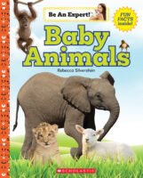 Be An Expert!™: Baby Animals