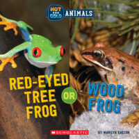 Hot and Cold Animals: Red-eyed Tree Frog or Wood Frog