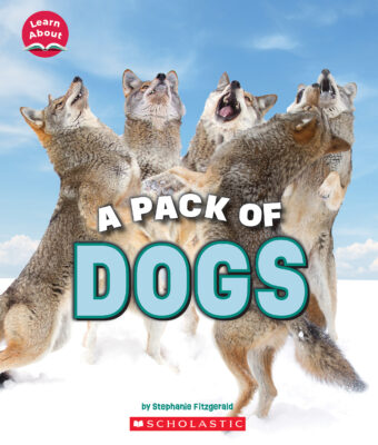 academic book "><img loading="lazy" decoding="async" border="0" width="1" height="1" src="https://ad.linksynergy.com/fs-bin/show?id=NL6SYUT*Zd8&bids=713995.21033262674&type=2&subid=0"><br />
LINK NAME: Learn About: A Pack of Dogs </a><br />
LINK ID: 21033262674<br />
RETAIL PRICE: $5.24<br />
Pricing Subjects to change:<br />
CATEGORY: Media<br />
Book Scholastic, Scholastic Entertainment, Books, Magazines, Family</p>
<p>Scholastic Teacher Store Online<br />
<a target="_blank" href="https://click.linksynergy.com/link?id=NL6SYUT*Zd8&offerid=713995.21033262706&type=2&murl=https%3A%2F%2Fshop.scholastic.com%2Fteachers-ecommerce%2Fteacher%2Fbooks%2Flegends-of-lotus-island-1-the-guardian-test-9781338759150.html" rel="noopener"><img decoding="async" border="0" src="https://embed.cdn.pais.scholastic.com/v1/channels/tso/products/identifiers/isbn/9781338759150/primary/renditions/400?useMissingImage=true" width="300" alt=