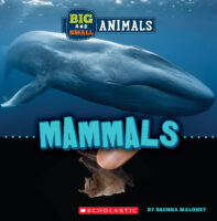 Big and Small: Mammals