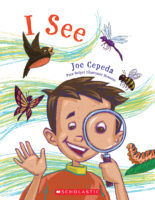 I Hop I See: I See