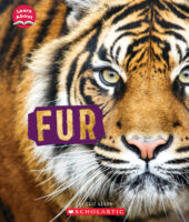 Learn About: Animal Coverings: Fur