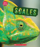 Learn About: Animal Coverings: Scales
