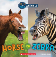 Wild World: Pets and Wild Animals: Horse or Zebra