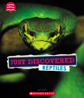 Learn About: Just Discovered Animals: Reptiles (Hardcover)