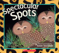 Stripes of All Types: Spectacular Spots