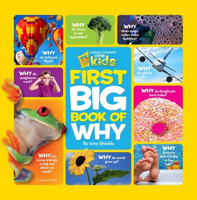 First Big Book of Why by Amy Shields Scholastic