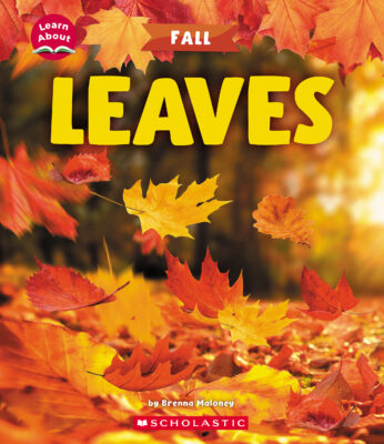 Learn About: Fall: Leaves