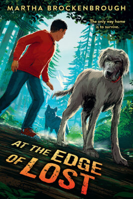 At the Edge of Lost (Hardcover)