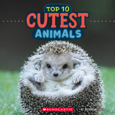 Wild World: Top 10: Cutest Animals