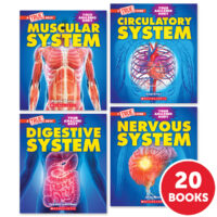 Scholastic Text Sets Grade 4: The Human Body