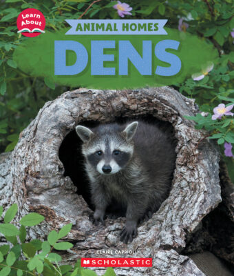 Learn About: Animal Homes: Dens
