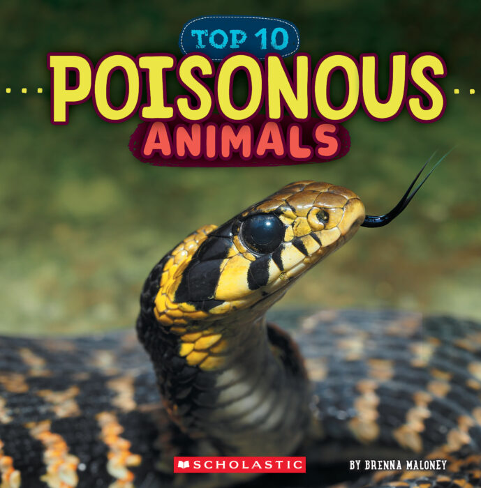 イェナ 動物探偵 トレカ 동물탐정 Wild World: Top 10: Poisonous Animals by Brenna Maloney