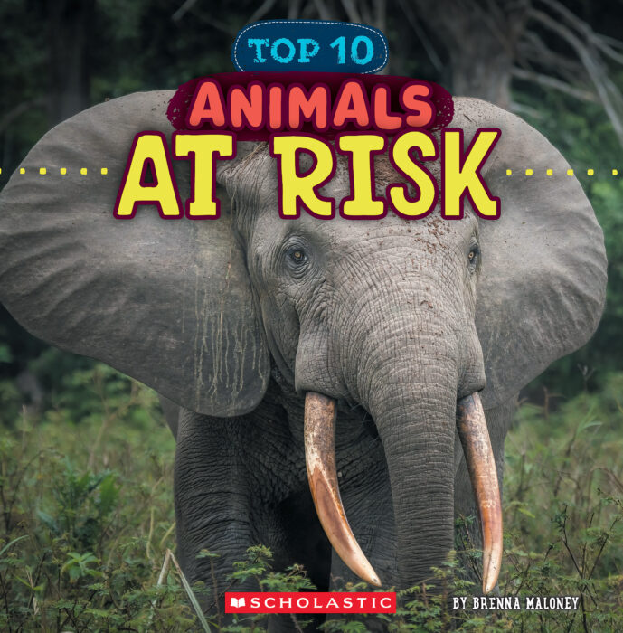Wild World: Top 10: Animals at Risk by Brenna Maloney | Scholastic