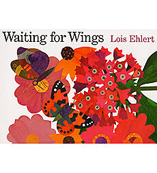 Waiting For Wings (Hardcover)