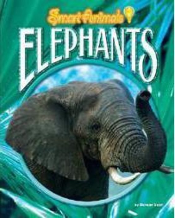 Elephants (Smart Animals) by Duncan Searl Scholastic
