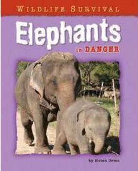 Elephants In Danger (Wildlife Survival) by Helen Orme | Scholastic