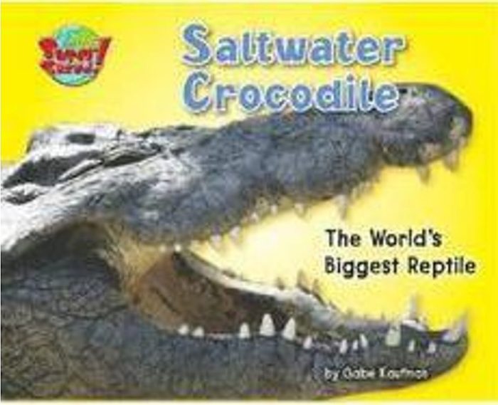 biggest marine reptile