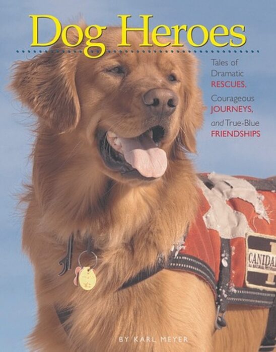 Dog Heroes Tales of Dramatic Rescues, Courageous Journeys, and True